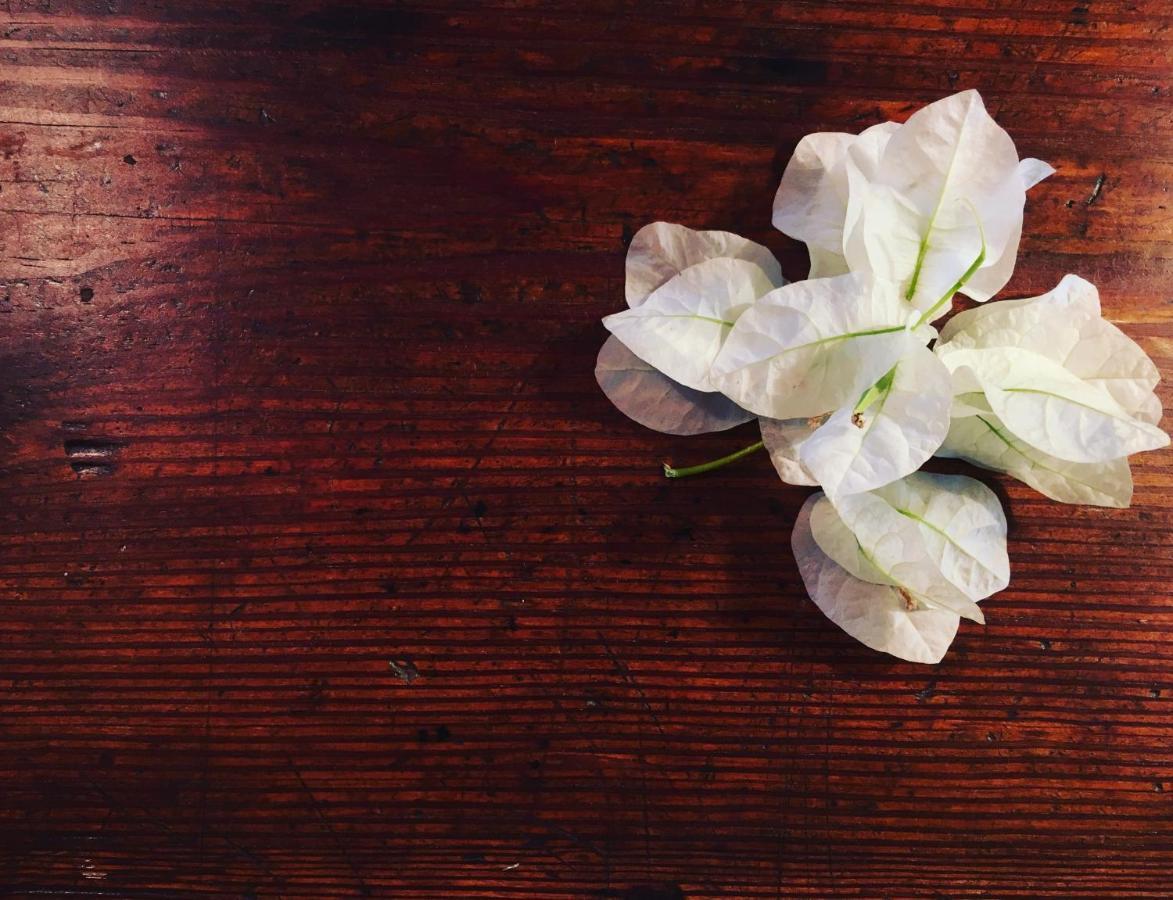 ファヴィニャーナGiardino Dell'Impossibile Di Antonino Campoアパートメント エクステリア 写真